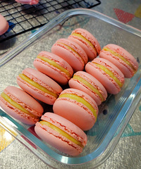 ��������һ���Ǵ���������