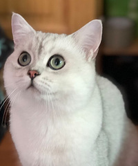 �ؽ�Ѱ�����㣨500�𲽣�