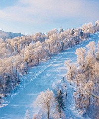 国内滑雪好去处都在这篇了