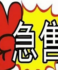 ����  13867666023