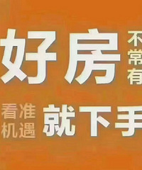 ����  13867666023