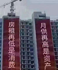 ���� 13867666023