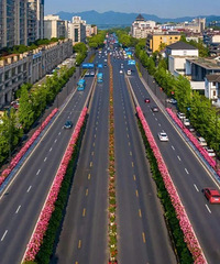 杭州多條涉及丁橋區域的公交線路調整,25條線路臨時停運