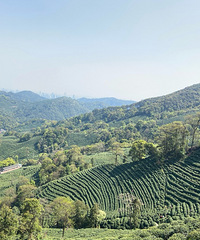 一個人的登山之旅