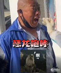 一大爺做核酸發出“惡龍咆哮”!醫護人員當場笑翻......