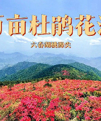 徒步十里杜鵑古道,八條上山線路收好