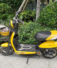 ���۵綯�����ѳ���