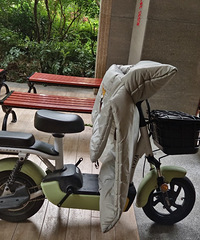 急转二手绿佳新国标电瓶车