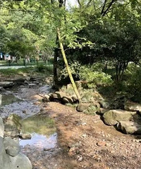 5A级景区紧急关闭!杭州知名景点也大变样:部分干涸见底!