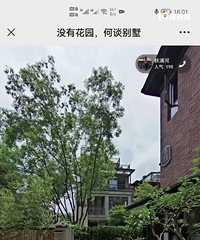 没有花园,何谈别墅!入住一年来400多平大别野秀家来啦