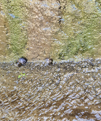 �ӵ����д���������