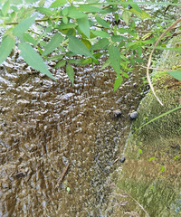 �ӵ����д���������