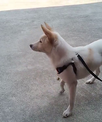 �Ұ���֮������������һ��Բ����13757697360