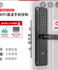 双十一血拼中,半价买品牌智能锁