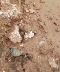 �Ǽ��б���Ҫ�ҵģ�����̽��������̽��