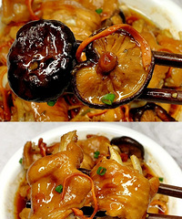 ��ݻ����������׷�̫����