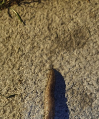 �봺�˺���ӳ�û ��ʼ�������ҳ��� �����˳�����ĳ���..