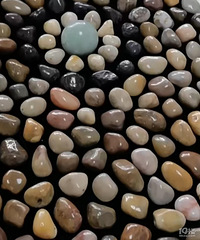 С����ϲ����ʯͷ ʯͷ������ʲô�أ�������ˣ�