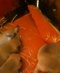 ������Ȯ��Ȯ