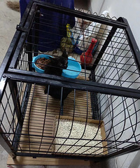 Сè��������