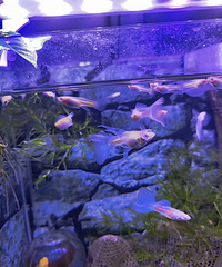 ��ϲ�������������