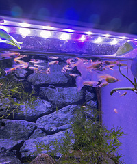 ��ϲ�������������