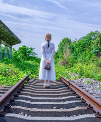 詩(shī)與遠(yuǎn)方:尋找往日時(shí)光