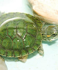 �������������ͬ���𣿹��������ھ�������������