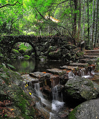 ������� �������Ӵ���ҵ��ȥ����