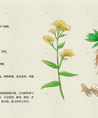 一口气8包下肚,男子中毒昏迷!家里常备,网友:我都当饮料喝…