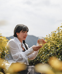 黃茶香