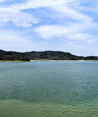 野櫻開滿天池