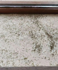 白色预警!密密麻麻,杭州已有小区出现!重要提醒收好