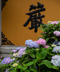 永福寺賞花