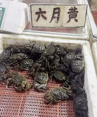 抢鲜上市!不少余杭人年年都馋这一口!老板:再等等,价格还会降
