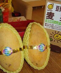 "潜水艇~上岸发贴!看看我的零食大集合!今天有更新哦!(也支持