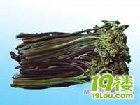 "又到蕨菜采摘时"