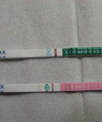 "排卵后第10天或者11天,.....今早测了试纸都是明显的粉色"