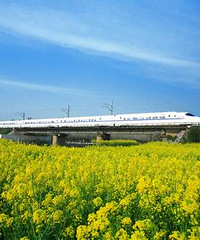 "“幸福号列车”主题婚礼策划直播进行中……(见证爱情的时刻!)