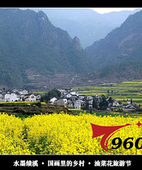"杭州周边十大油菜花观赏点最全攻略"