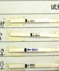 "绿豆妈的每日孕记(331末次,P46孕妇照,P52布书,P53产检)"