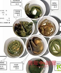 "杭城出现“毒海带”"