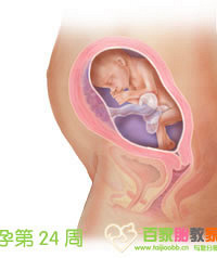 "十个月的baby与胎教------图文并茂"