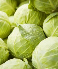 卷心菜减肥餐 一周快速瘦10斤