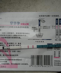 "验血了,31天HCG值1850."