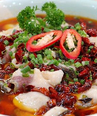 "菜谱大全:水煮鱼的做法"