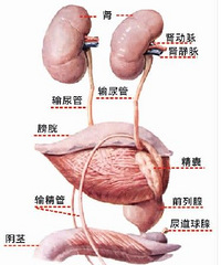 "我省某大医院两千多位员工体检 两年来发现5人得了前列腺癌"