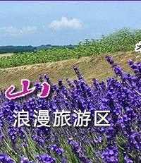 "谈香山——沉醉于香草的浪漫世界!谈香山千亩薰衣草!"