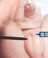 19实验:不想成为“一粒米小鸡鸡” 来看看奶茶的真面目(图)