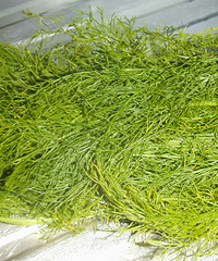 茴香馅煎饺